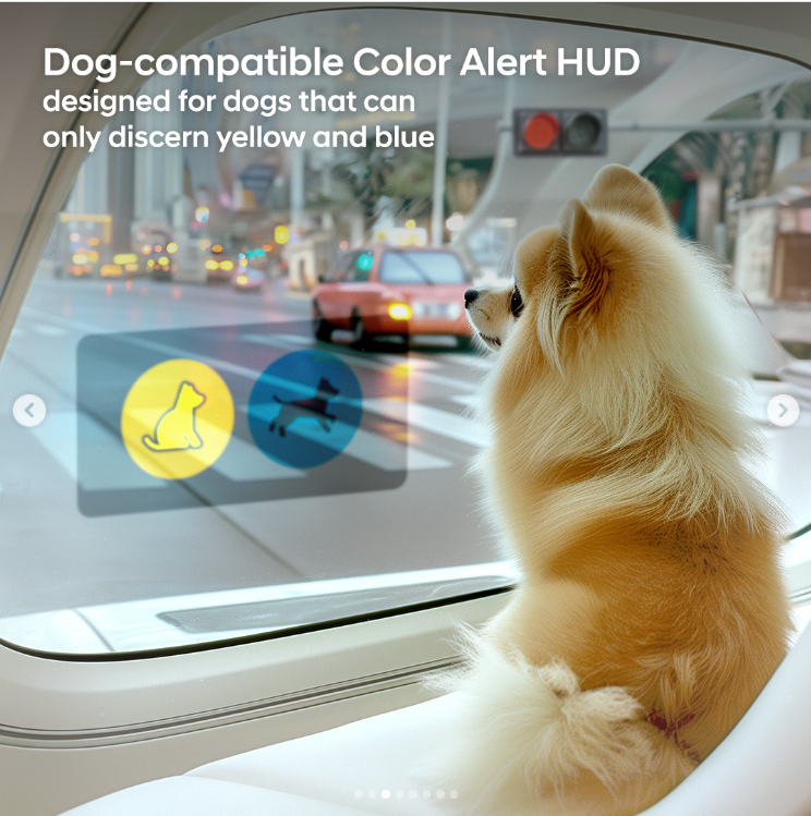 מכונית יונדאי שמותאמת לכלבים ולחוש הראייה שלהם (צילום: יונדאי)