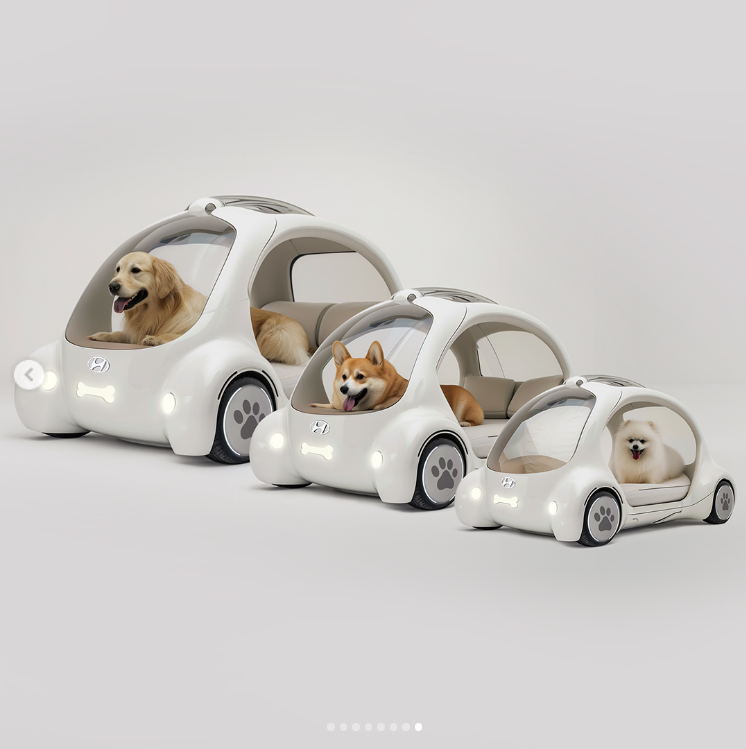מכונית יונדאי שמותאמת לכלבים (צילום: יונדאי)
