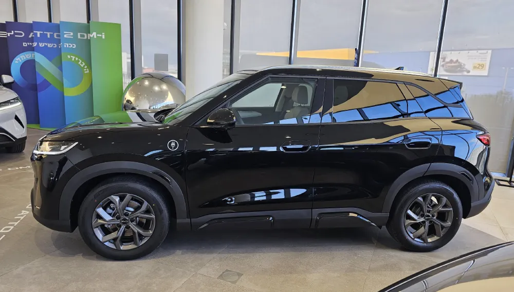 BYD ATTO 2 DM-i (צילום: פלאג מג)